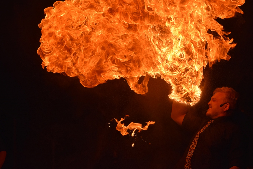 Isle of Wight Fire Show Robin Hill